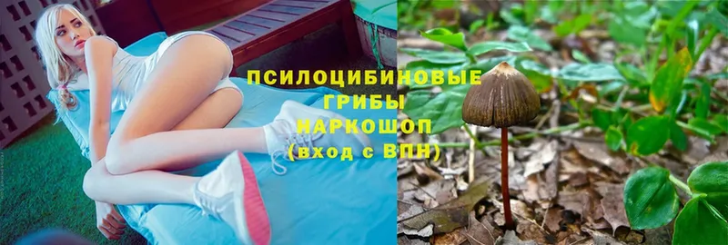 закладки  мега зеркало  Галлюциногенные грибы Magic Shrooms  Кизилюрт 