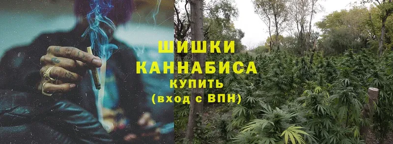 Бошки Шишки OG Kush  Кизилюрт 